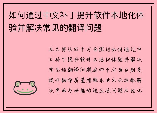 如何通过中文补丁提升软件本地化体验并解决常见的翻译问题
